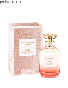 COACH DREAMS SUNSET EDP 60 ML PRODUKT