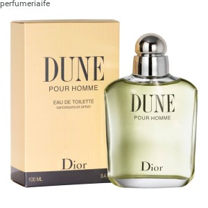 CHRISTIAN DIOR DUNE POUR HOMME EDT 100 ML PRODUKT