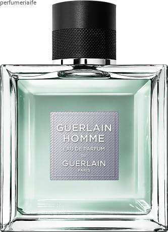 guerlain_homme_eau_de_parfum_spray_100ml_1.jpg
