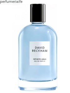 DAVID BECKHAM INFINITE AQUA EDP 100 ML TESTER
