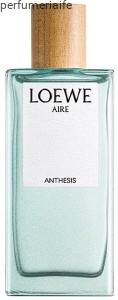 LOEWE AIRE ANTHESIS EDP 100 ML TESTER