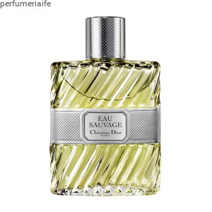CHRISTIAN DIOR EAU SAUVAGE EDT 100 ML TESTER